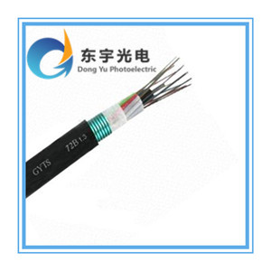 江蘇東宇光電科技西安GYTS-8B1鎧裝光纜熱銷，助力光纖通信網絡發展